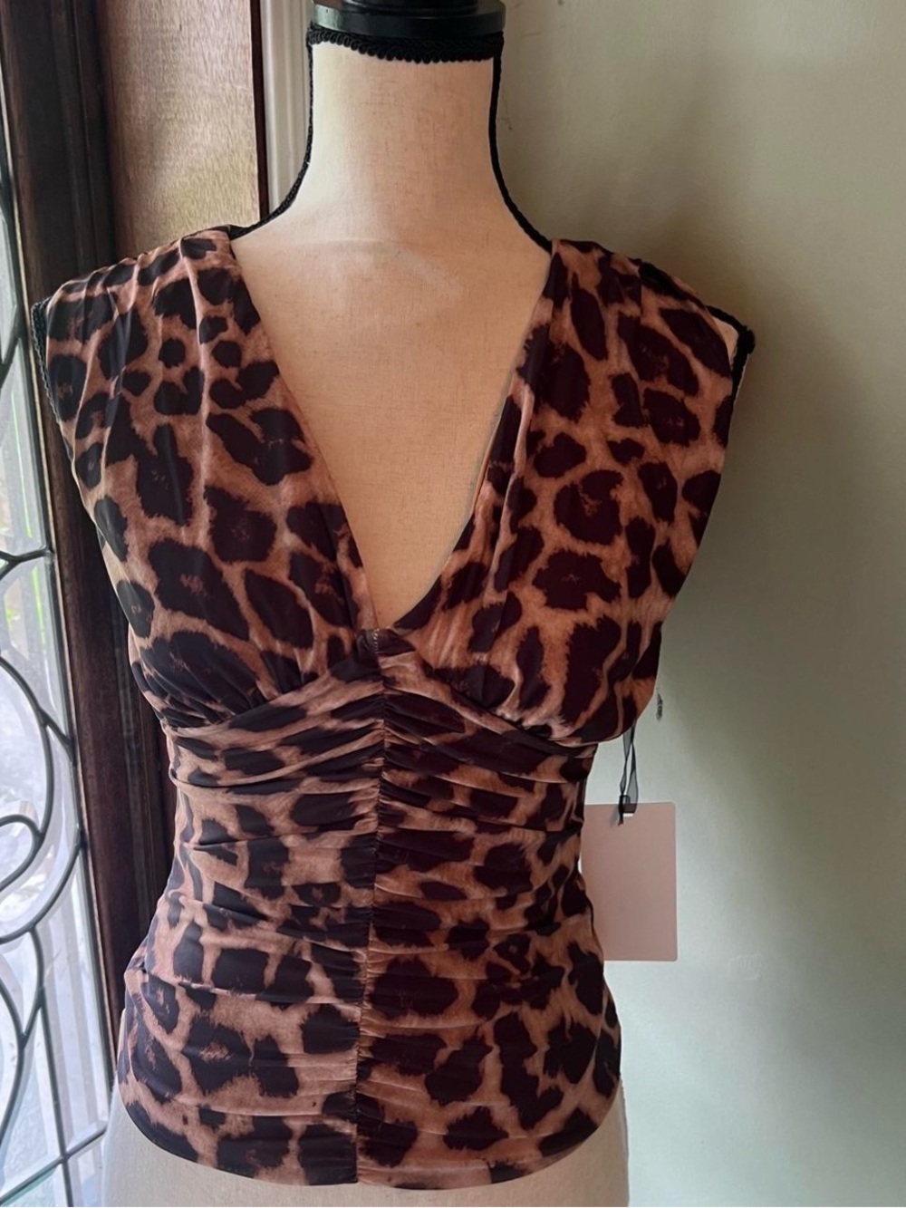 Leopard Print V-Neck Ruched Top